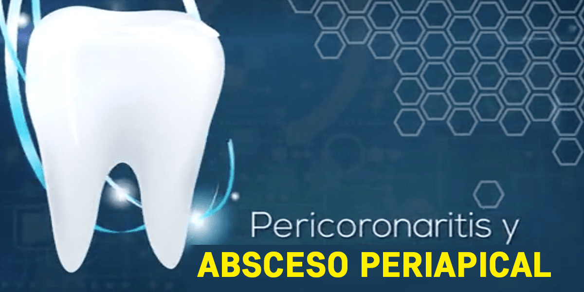 Publicaciones